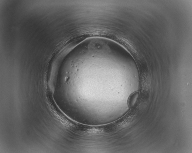 X0000076300453200610061308