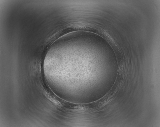 X0000076300454200610061308