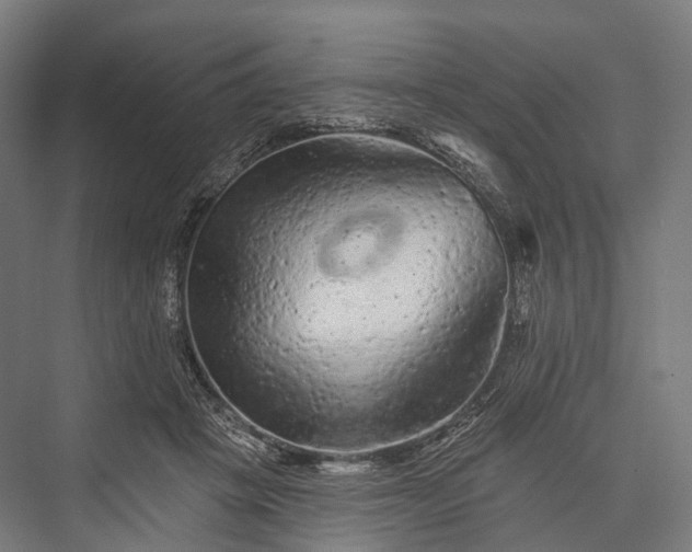 X0000076300457200610061308
