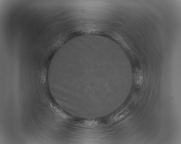 X0000076300458200610061308
