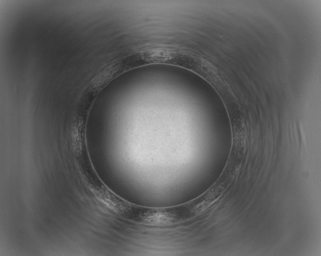 X0000076300460200610061308