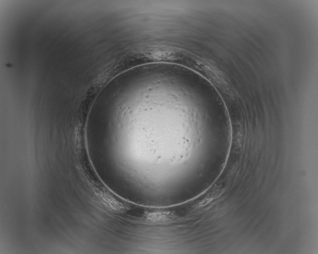 X0000076300461200610061308