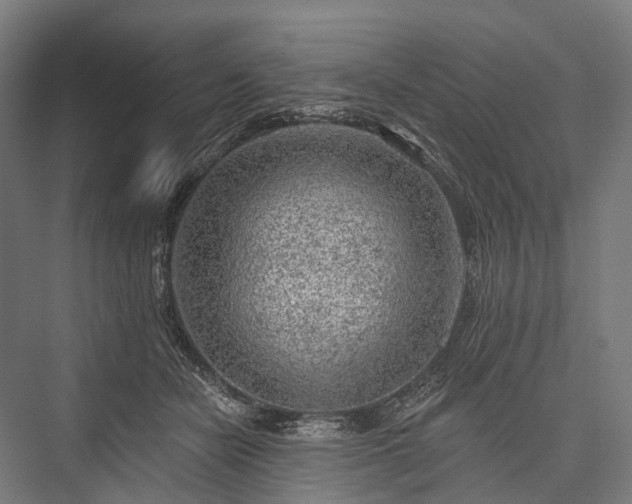 X0000076300462200610061308
