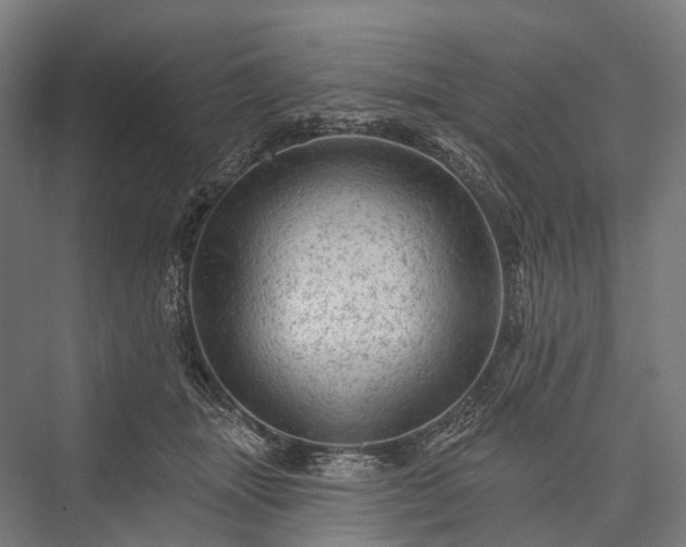 X0000076300463200610061308