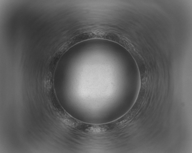 X0000076300464200610061308