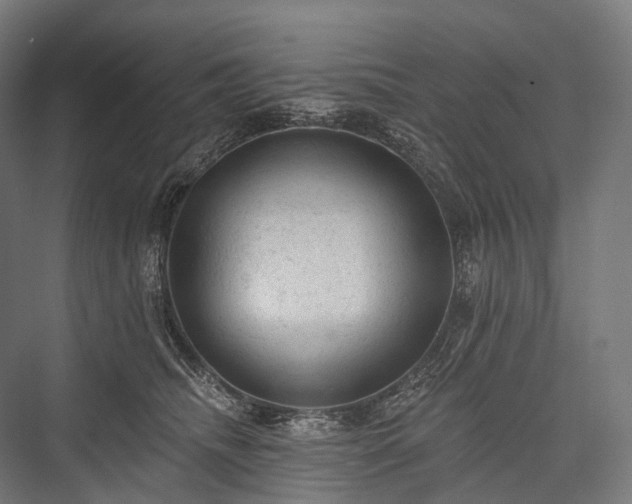 X0000076300468200610061308