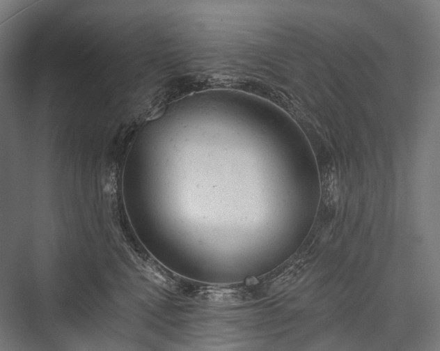 X0000076300472200610061308