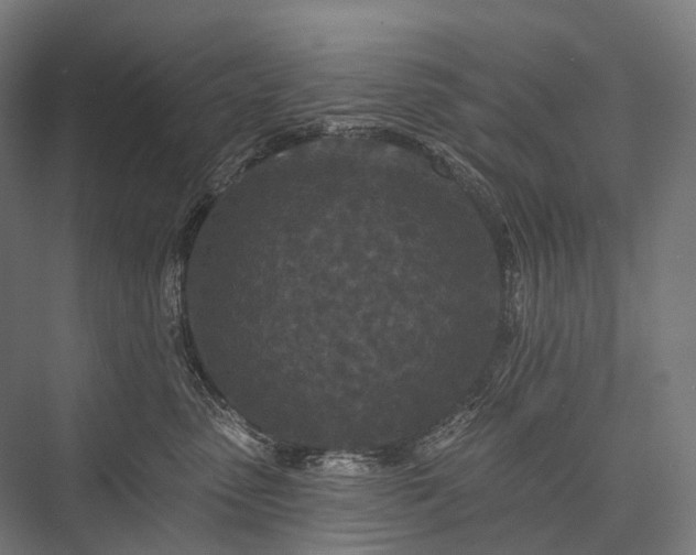 X0000076300475200610061309