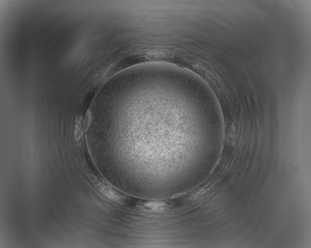 X0000076300478200610061309