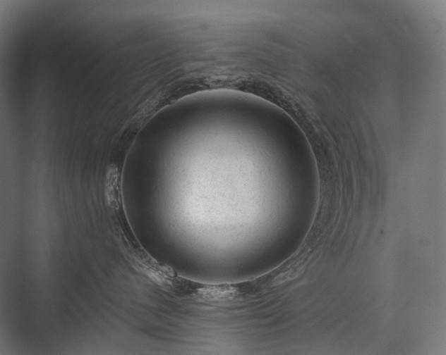 X0000076300480200610061309