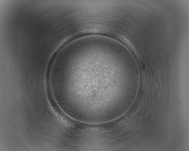 X0000076300482200610061308