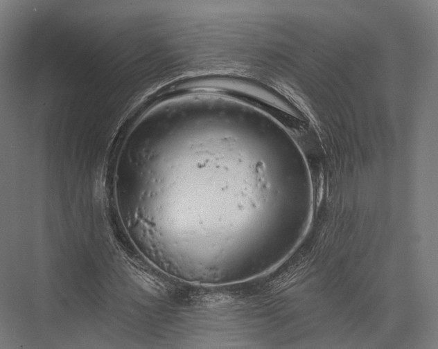 X0000076300483200610061308