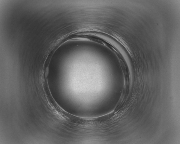 X0000076300485200610061308