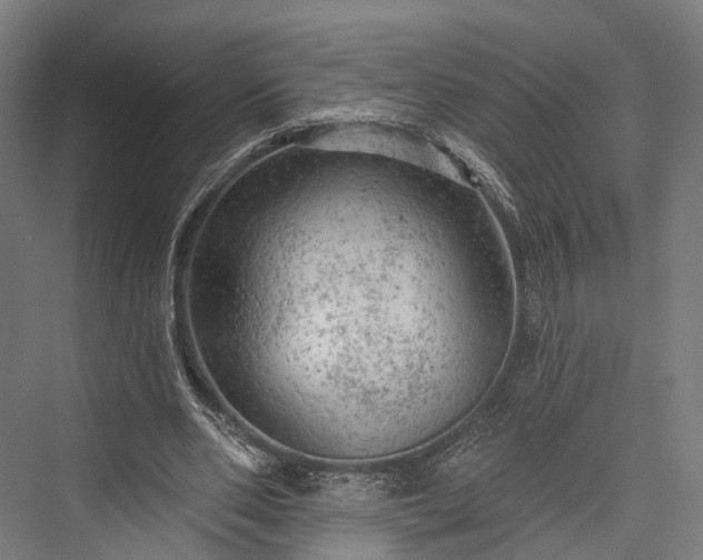 X0000076300486200610061308
