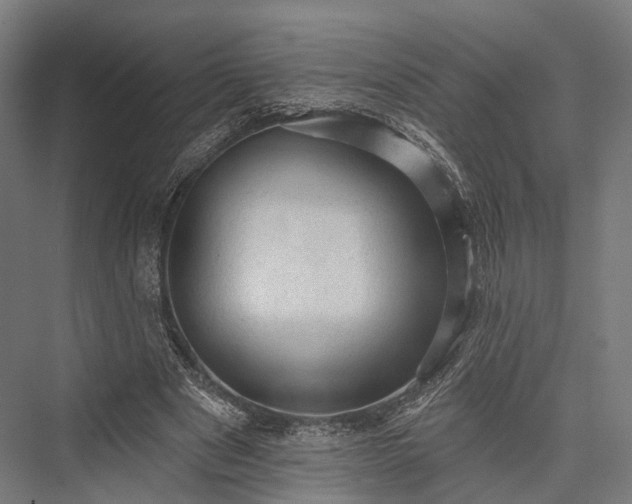 X0000076300489200610061308
