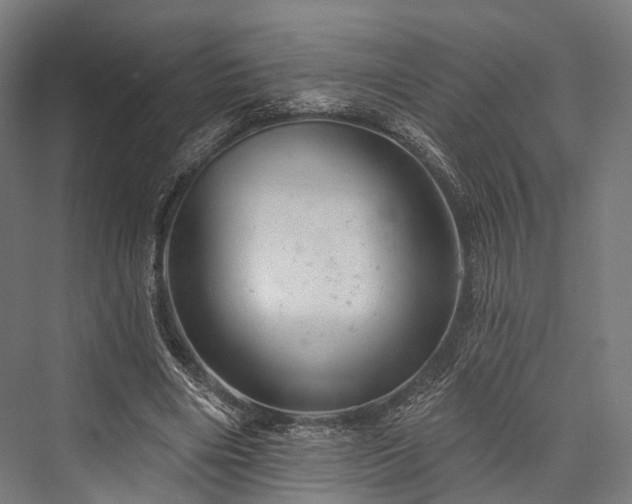 X0000076300490200610061308