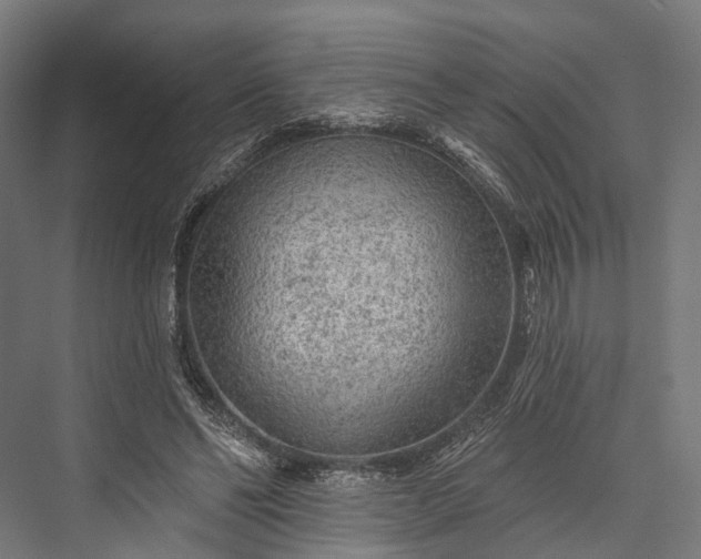 X0000076300494200610061308