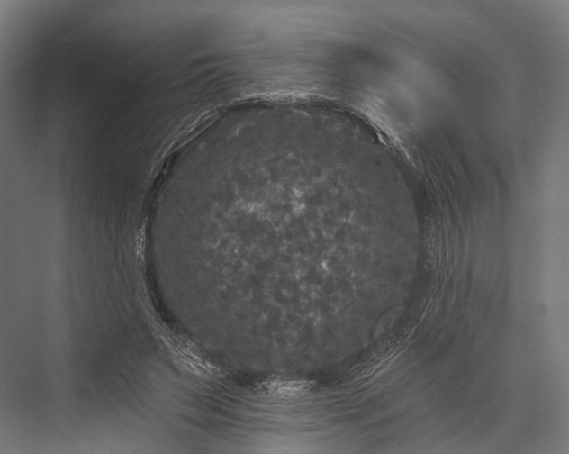 X0000076300495200610061308