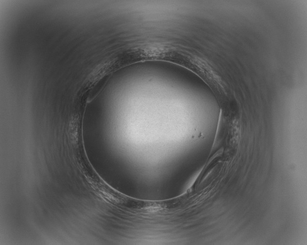 X0000076300505200610061307