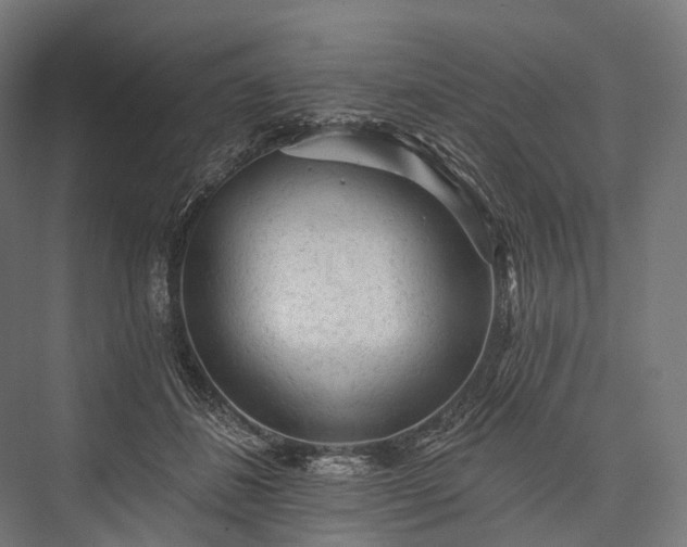 X0000076300508200610061307