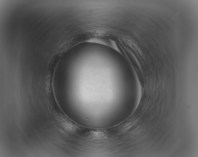 X0000076300509200610061307