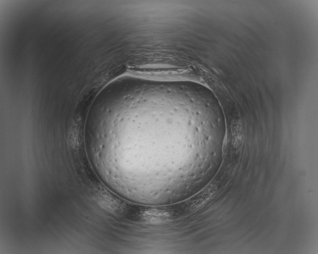 X0000076300515200610061307