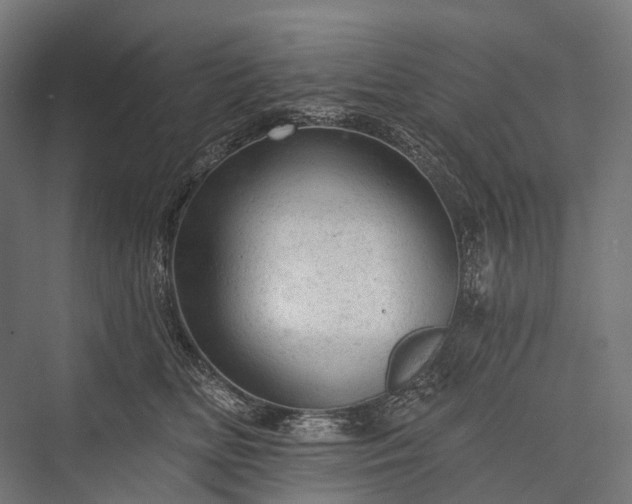 X0000076300518200610061307
