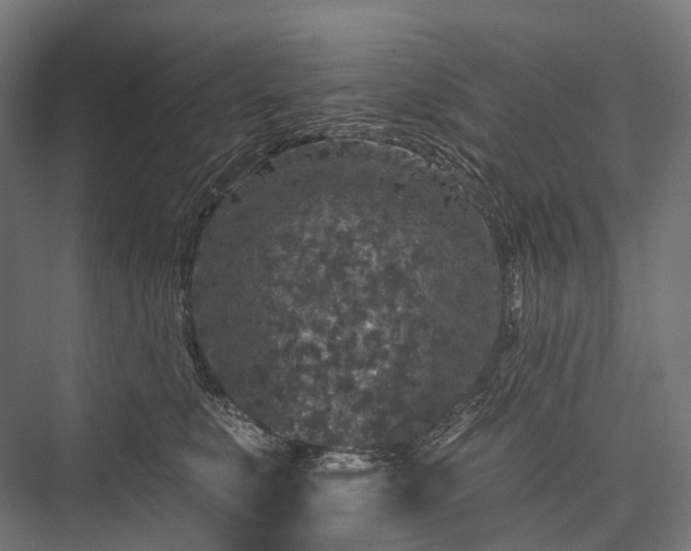 X0000076300519200610061307