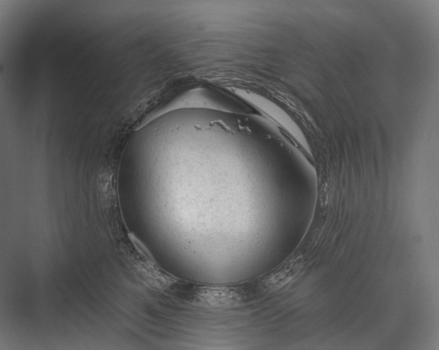X0000076300521200610061307