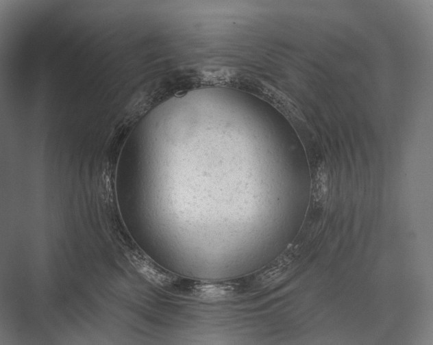X0000076300522200610061307