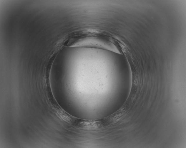 X0000076300524200610061307