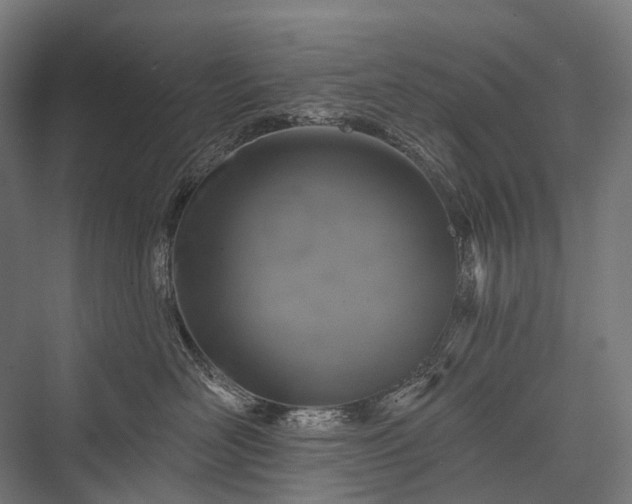 X0000076300526200610061307