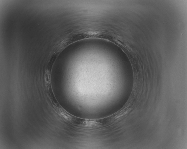 X0000076300528200610061307