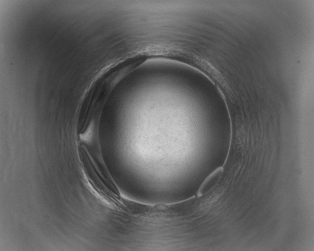 X0000076300530200610061306