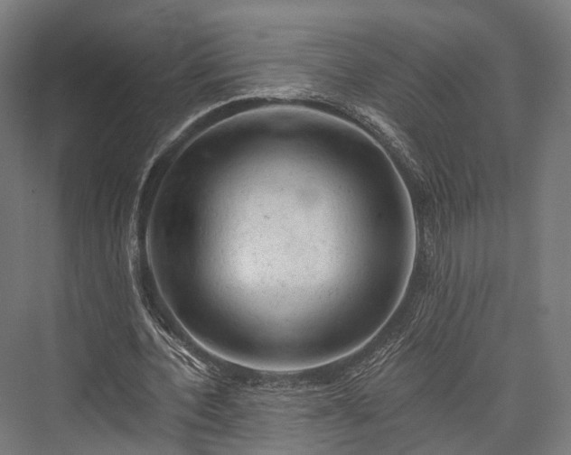 X0000076300532200610061306