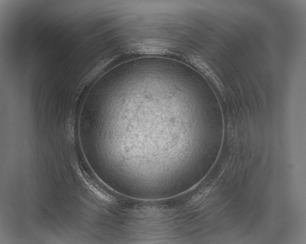 X0000076300533200610061306