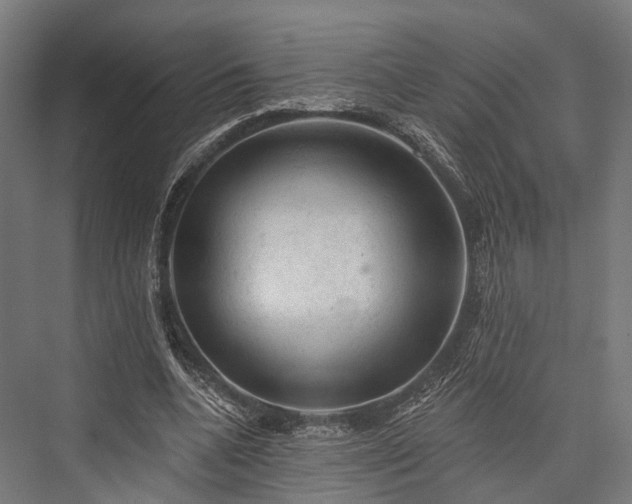 X0000076300536200610061306
