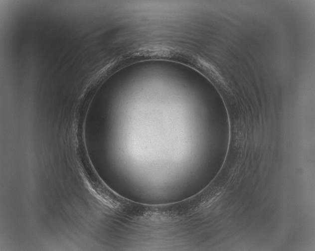 X0000076300538200610061306
