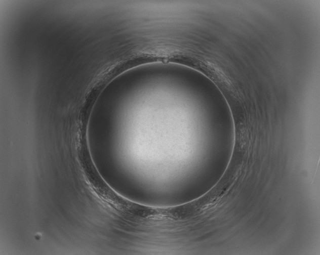 X0000076300544200610061306