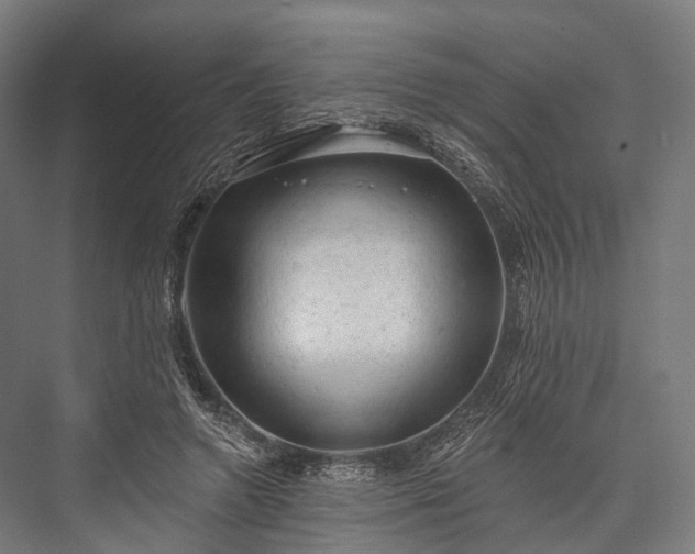 X0000076300546200610061306
