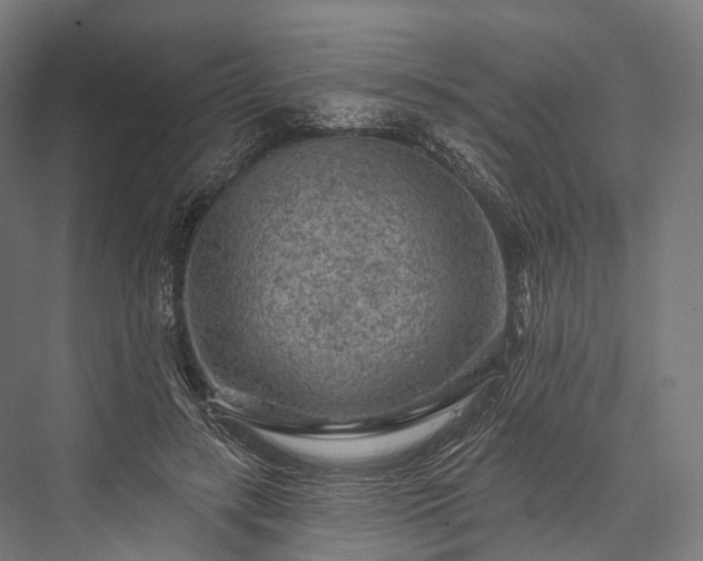 X0000076300547200610061307
