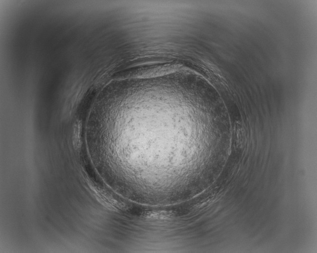 X0000076300550200610061307