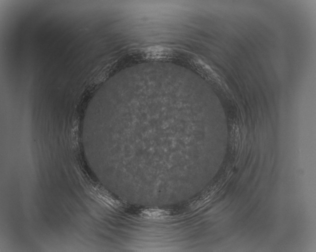 X0000076300557200610061307