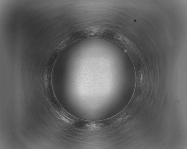 X0000076300558200610061307