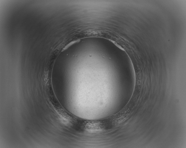 X0000076300560200610061307
