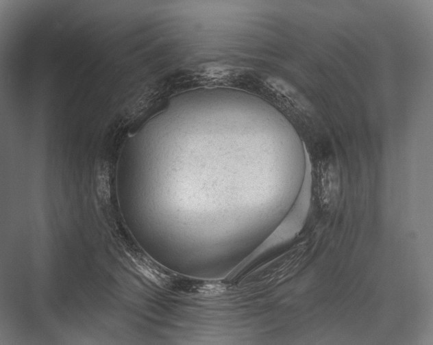 X0000076300562200610061307