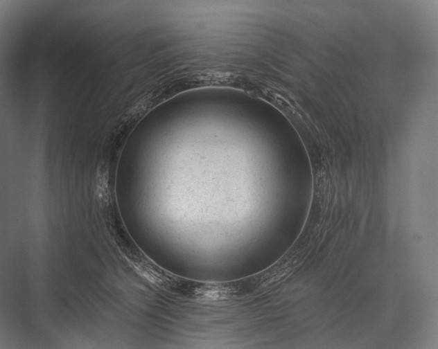 X0000076300564200610061307