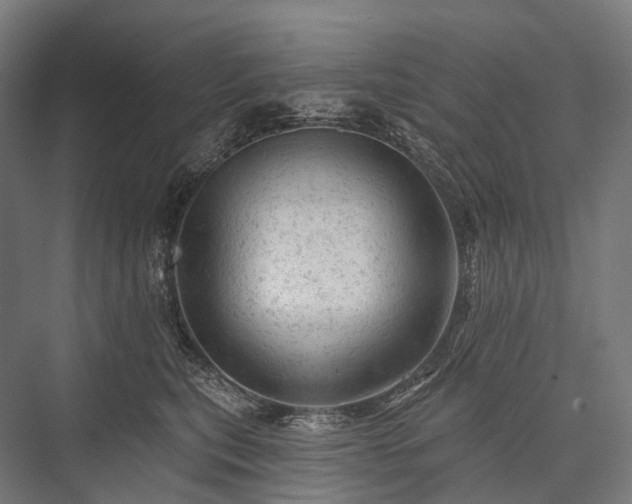 X0000076300567200610061307