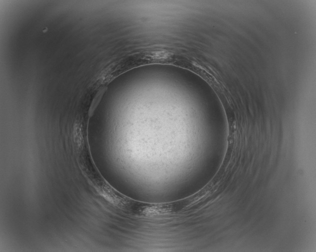 X0000076300568200610061307