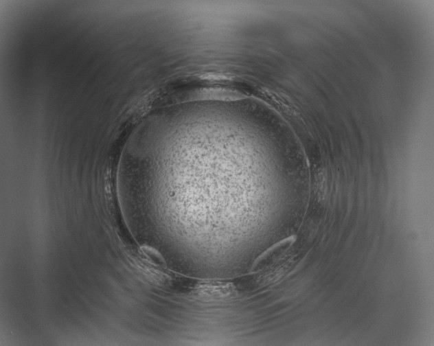 X0000076300571200610061307